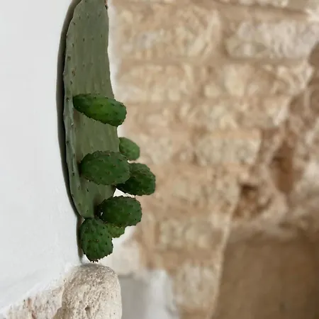 Lamar - A Charming Medieval Grotta Tatil Evi *