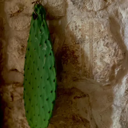 Lamar - A Charming Medieval Grotta Tatil Evi *